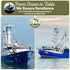 12 Pack 5 Oz 24g ONBOARD Premium Yellowfin Tuna in Olive Oil - Solid Light Cans Sustainably Wild Caught Canned Tuna
