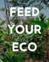(Cinnammon 1 Pack) Alter Eco Cinnamon Raisin Granola, Healthy, Organic Breakfast & Snack, Naturally Sweetened
