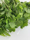 Generic Fresh Mint Leaves (1 lb)