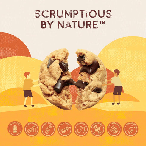 9 8.9 oz (Pack 3) Autumn Sons Baking Co. Gluten Free Pumpkin Chocolate Chunk Cookie Mix. Limited Edition Pumpkin Spice