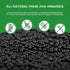 2.75 Jiva Organic Black Mustard Seeds Whole Pound Bulk Bag - Non-GMO Keto Friendly, Non-Irradiated