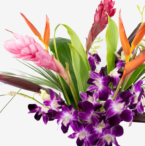 Generic Fresh Orchids and Tropical Flower Bouquet, Purple Orchids, Red Ginger, Heliconia, Mixed Foliage, Hawaiian
