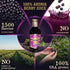 Berry Adventurous (30 Oz) 100% Packed Natural Aronia Berry Juice Fl Proudly USA Grown, Full Strength, Cold Pressed