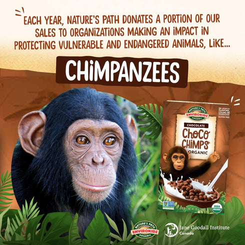 10 oz (Pack 1), EnviroKidz Organic Choco Chimps Cereal, of Chocolate, Gluten Free, Non-GMO, Fair Trade, by Nature's