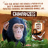 10 oz (Pack 1), EnviroKidz Organic Choco Chimps Cereal, of Chocolate, Gluten Free, Non-GMO, Fair Trade, by Nature's