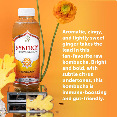 16 oz Immune SYNERGY The Real Kombucha - Gingerade - fl Bottle - Raw Probiotic Drink for Gut Health and Support
