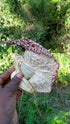 Nalego 1 Duck Flowers Detox Tea | Duck Flower | Wildcrafted Jamaican Alkaline Herbal Tea (Flor de Pato, Palo Guaco)