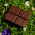 Alice Mushrooms Nightcap + Brainstorm Duo | Functional Mushroom Chocolates | Brainstorm Energy Bites for Focus, Clarity