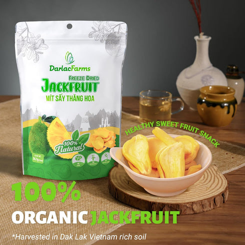 Pack 6, 12 Oz (2 DARLAC FARMS Freeze Dried Jackfruit Bites, Premium Organic Crispy Crunchy Natural Healthy Fruit Snacks