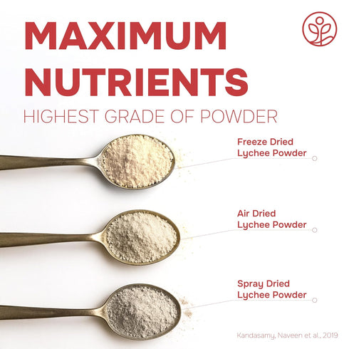 5 Jungle Powders Lychee Powder Ounce Bag - Freeze Dried Lychee Fruit for Baking, Smoothies, Syrup, Desserts, Sauces