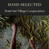 Premium Organic Madagascar Vanilla Beans - Grade A Pods