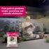 Jalpur 100g Barley Flour