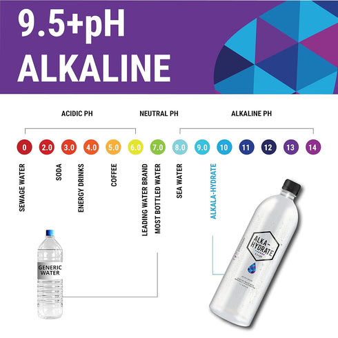 ALKA-HYDRATE 500mL 16.9oz 12) Natural Artesian Purified Alkaline Water with Minerals and Electrolytes - Bottle - (Case