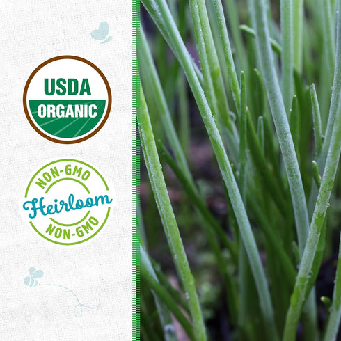 100% Packet 140mg Back to The Roots Organic Seed - Chives 'Garlic'