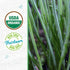100% Packet 140mg Back to The Roots Organic Seed - Chives 'Garlic'