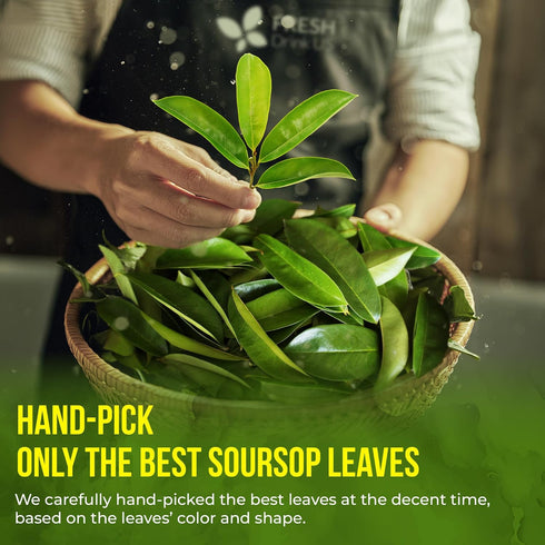 150 100% FreshDrinkUS, Premium Soursop Graviola Leaf Tea Bags, Natural and Pure, Hand-made, Made With Natural