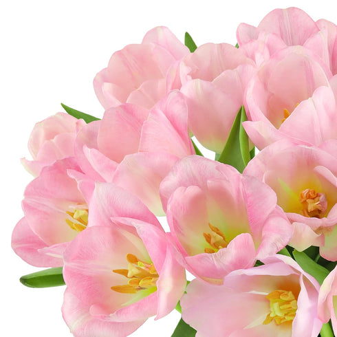 (20 Benchmark Bouquets Pink Tulips Mothers Day Flowers for Mom Fresh Flowers for Delivery Pink Bouquet Birthday Gifts