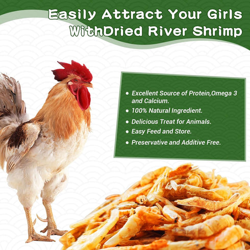 1lb Dried River Shrimp for Chicken, High Protein Freeze Red Dried Shrimp All Natural Treat for Turtles, Reptiles, Fish