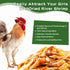 1lb Dried River Shrimp for Chicken, High Protein Freeze Red Dried Shrimp All Natural Treat for Turtles, Reptiles, Fish