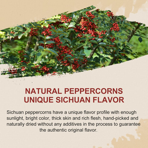 52USA Sichuan Peppercorn, Authentic Szechuan Red Peppercorns (4OZ), Whole Sichuan Red Peppercorns for Mapo Tofu and