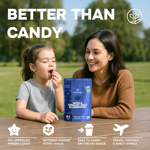 4 Frozen Bilberry Organic Blueberries Fresh Freeze Dried Fruit Ounce Bag - Made From Wild Dried Blueberries No Sugar
