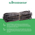 10 Count Slofoodgroup - Madagascar Vanilla Beans - Extract Grade B Vanilla Pods - - Extraction Grade Bourbon Vanilla