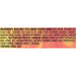 8g 1.5 oz. (18 Count) Slim Jim Beef 'N Cheese Smoked Meat Sticks, Mild Flavor, Protein Per Serving