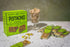 40 4 (40g Pack 12) South Snacks Crunchy Pistachio Bar, Just Ingredients, Touch of Honey Bar