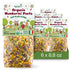 Food to Live Organic Numberini Pasta - Eat. Play. Learn, 8.8 oz