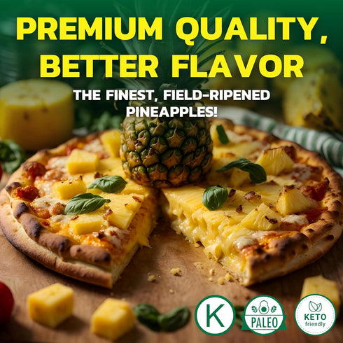 15 (Pack 6) Native Forest Pineapple Slices - Pineapple Canned, Pineapple Organic, Canned Fruit No Sugar Added, Organic
