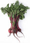 Fresh Nation Farmers Market Locally Grown Beets, Red Organic, 1 bunch
