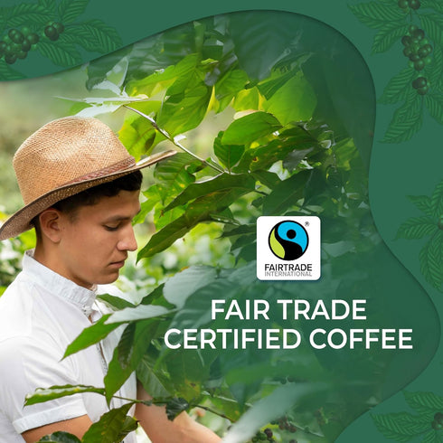 1 12 OZ (340 100% Liquid Gold Coffee from Costa Rica, Medium Roast Ground, bag Grams), Fair Trade, Fresh Arabica Beans