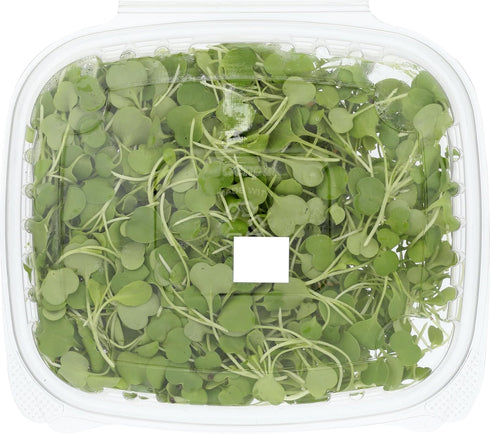 Fresh Produce 1.5 OZ FARMING TURTLES INC Organic Microgreens Arugula