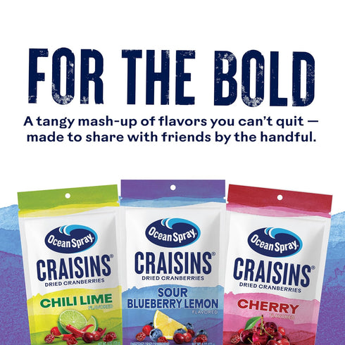 6oz Ocean Spray Craisins Sweetened Dried Cranberries, Sour Blueberry Lemon, Pouch