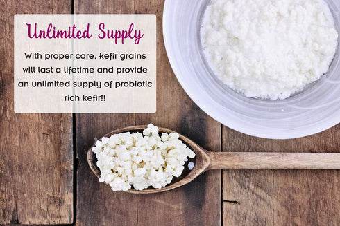 2 TBSP Live Milk Kefir Grains with Probiotic E-book