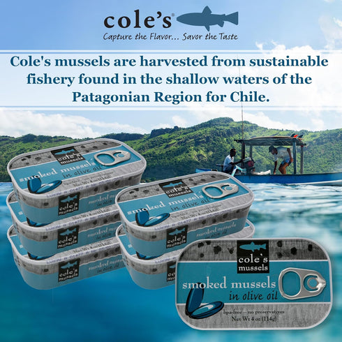 4oz Hand-Packed 14g Pack 5 Coles Patagonian Smoked Mussels Canned in Extra Virgin Olive Oil | Tinned Mussels | Protein