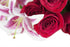 KaBloom Mixed Bouquet - Red Roses & Pink Lilies for Special Occasions