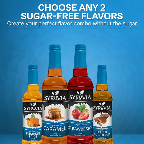 25.4 oz 2 Pack Syruvia Sugar Free Coffee Syrup Choose Your Flavors Custom Bundle Premium Flavored Syrup for Coffee