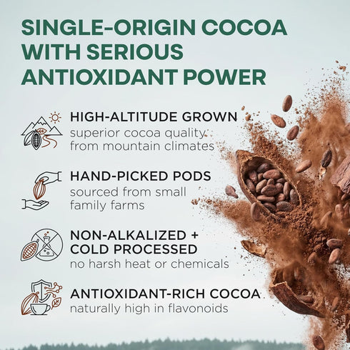 100% 12 oz Wild Foods Organic Cocoa Powder Unsweetened for Baking & Cooking, Raw Cacao Powder, Organic Single-Origin