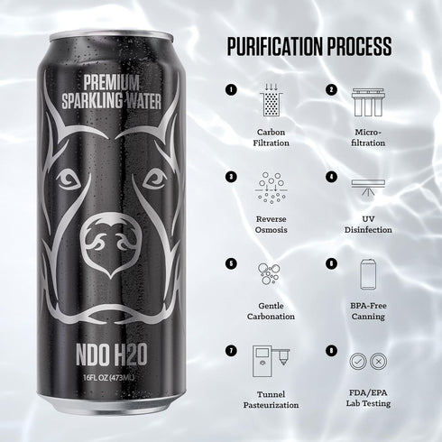 12 Pack,16 oz, 100% NO DAYS OFF Premium Sparkling Water - fl Sparkling (Unflavored) - Ultra-Purified Reverse Osmosis