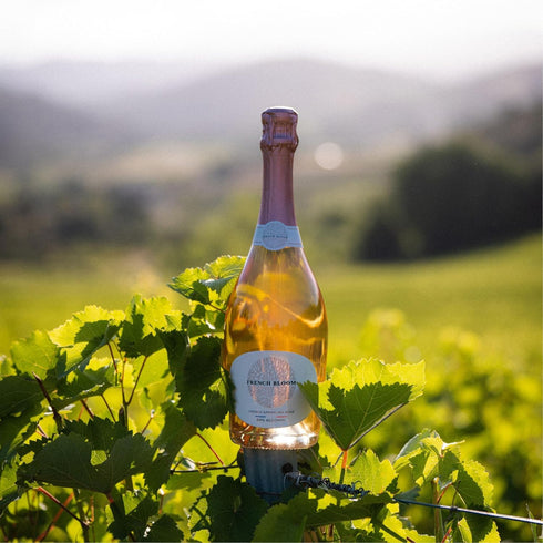 0.0% 750ml French Bloom Le Ros, Alcohol-Free Sparkling Wine, - Certified Organic, Vegan, Low Calorie, Pregnancy