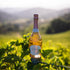 0.0% 750ml French Bloom Le Ros, Alcohol-Free Sparkling Wine, - Certified Organic, Vegan, Low Calorie, Pregnancy