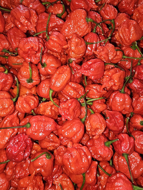 Generic Zozoma 2 B6, Packed Farms Pounds Fresh Red Carolina Reaper Peppers. Contains vitamins A, C, and potassium.