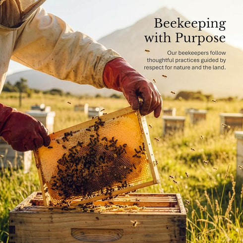 350+ 380g (13.4oz) Bees & Trees Manuka Honey MGO Raw, Pure New Zealand Monofloral Honey Unpasteurized & Minimally