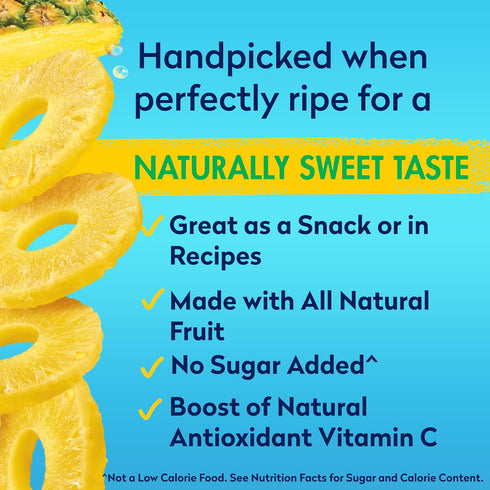 100% 20 Oz, Packaging Dole Canned Fruit, Pineapple Slices in Pineapple Juice, Gluten Free, Pantry Staples, May Vary