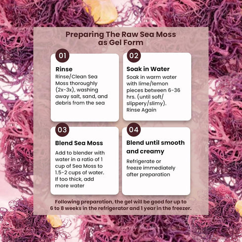 Purple Sea Moss – 4oz, 100% Wildcrafted from Saint Lucia Raw and Dried Vegan Superfood with 90+ Minerals, Non-GMO