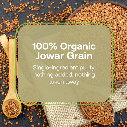 2lb Quay Naturals Organic Sorghum Flour - Organic Jowar Flour - Made With Gluten Free Sorghum Whole Grain - Non GMO