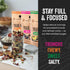 Natural Cravings Packs 5 Packs, 3.5 oz Trail Mix Snack Variety - Bags - Dried Fruit Mix & Nuts Mix with Chocolate