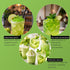 TEA TEK 8.8 1 Count Pound Coconut Jelly Green Apple Coconut Boba Jelly Jars - No Cooking Required, For Various