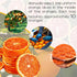 Generic 7.05oz(200g) Dried Blood Orange Slices,Dehydrated Blood Orange for Cocktails Tea Baking fruit snacks, Sugar